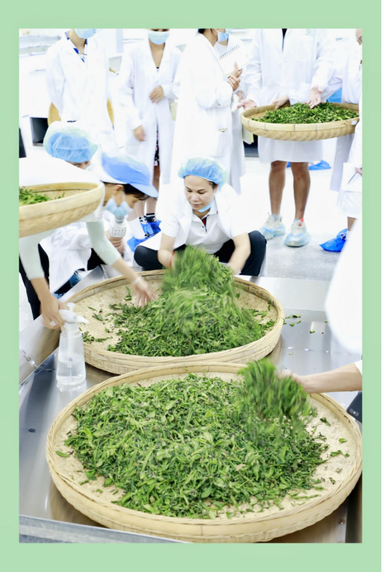 16754086067033.png 微信圖片_20230203151559.png