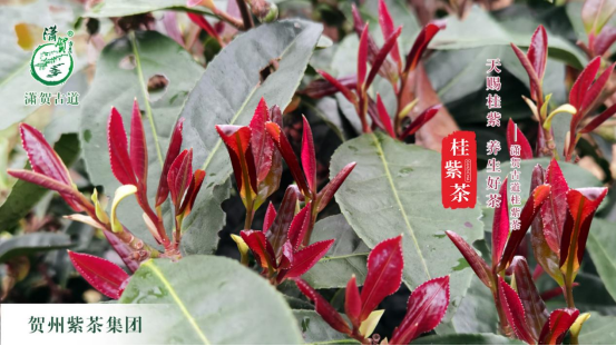 16754087599794.png 16754087599794.png