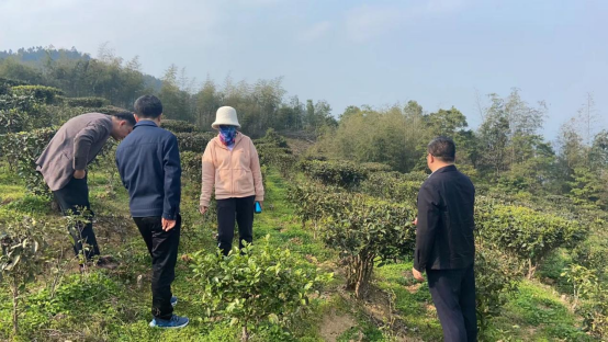 16777292206242.png 16777292206242.png