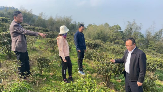 16777292244741.png 16777292244741.png