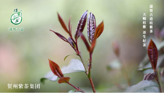 16777292573896.png 16777292573896.png