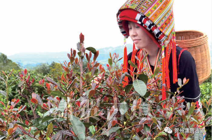 16969070265940.png 微信圖片_20231010110332.png