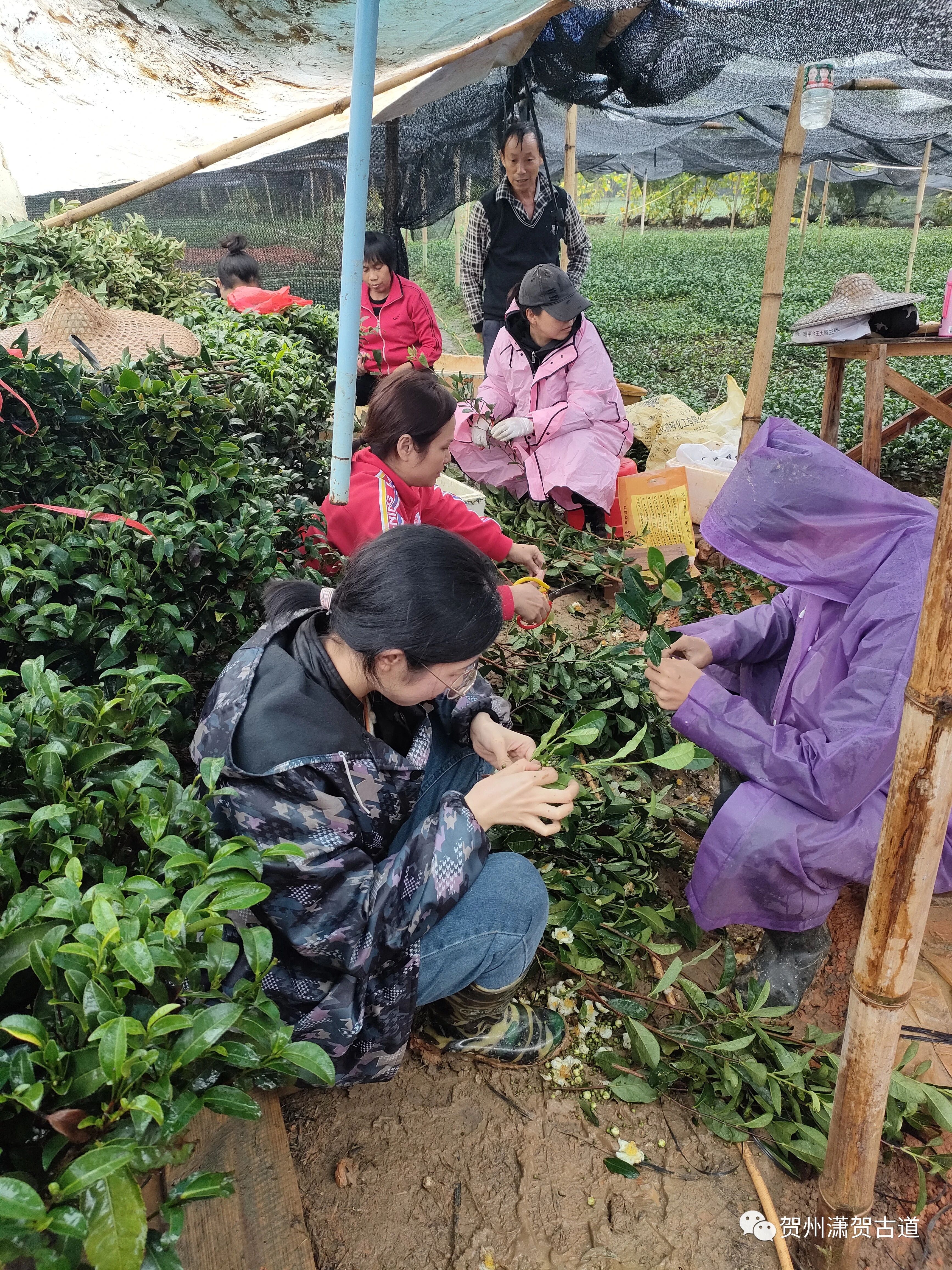 16969070656857.jpg 微信圖片_20231010110409.jpg