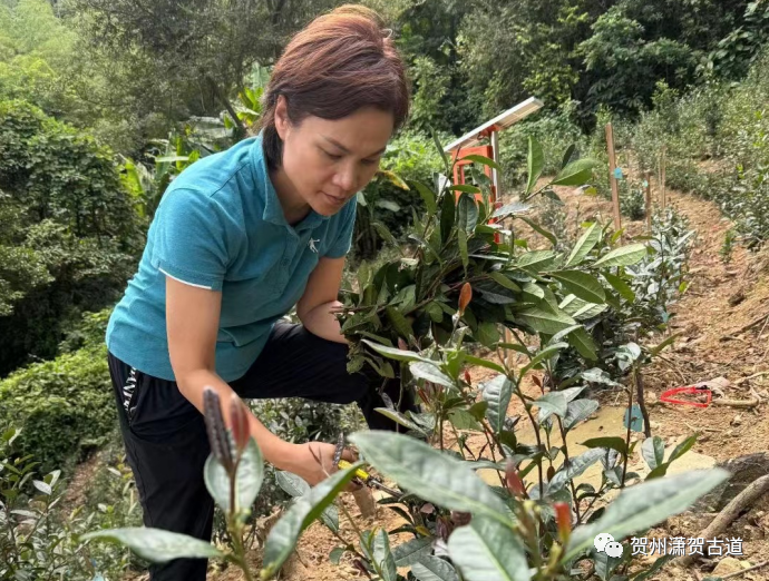 17024381415081.png 640.png