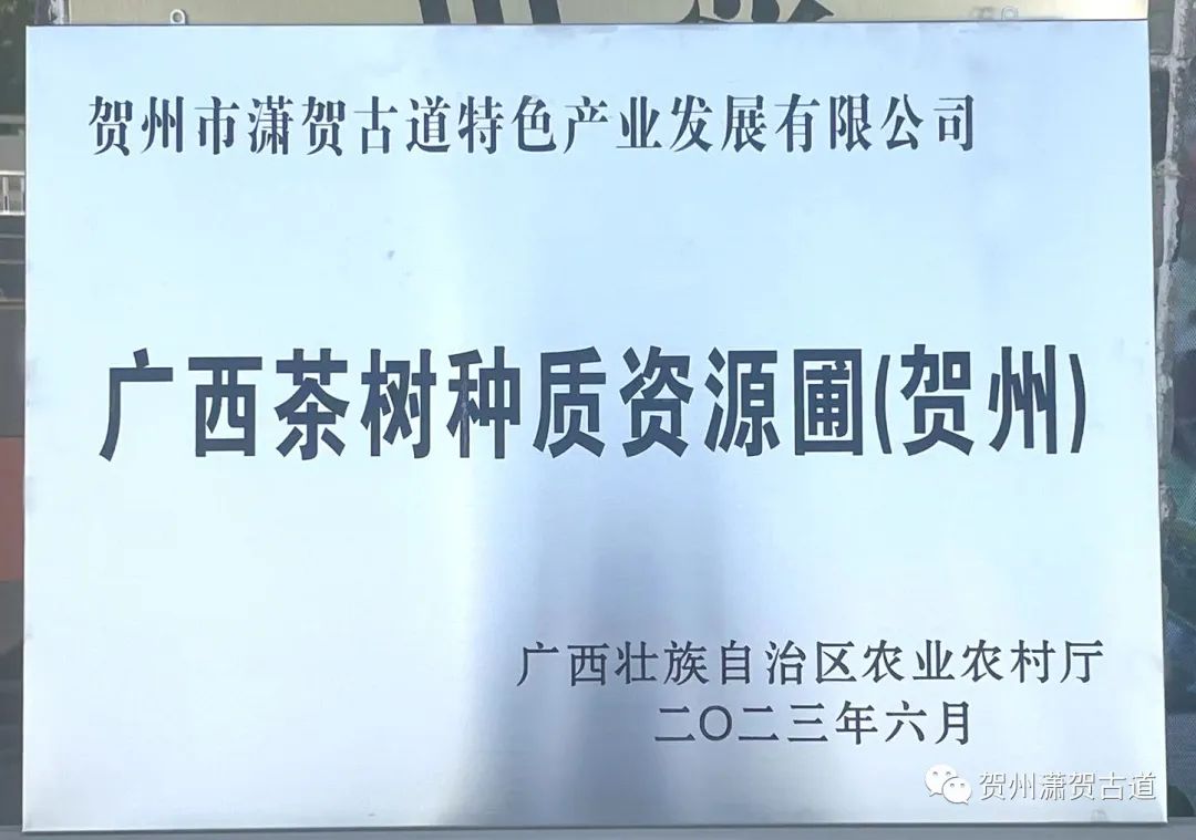 17024381633186.jpg 640 (1).jpg