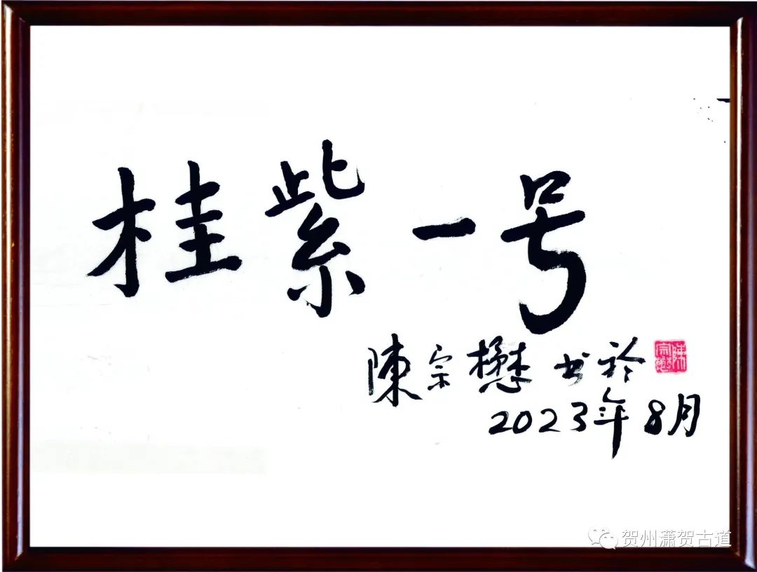 17024381716538.jpg 640 (2).jpg