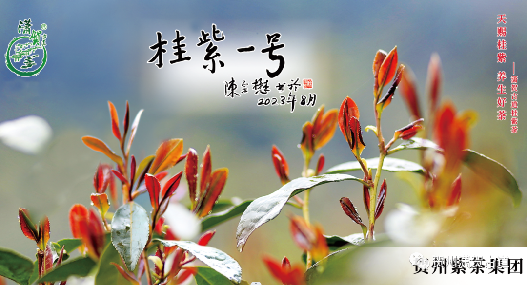 17024382115884.png 640 (1).png