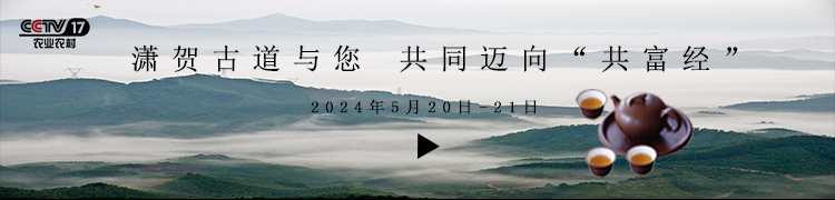 茶鄉(xiāng)沁茶香，歡迎到廣西賀州品嘗賀州紫茶！