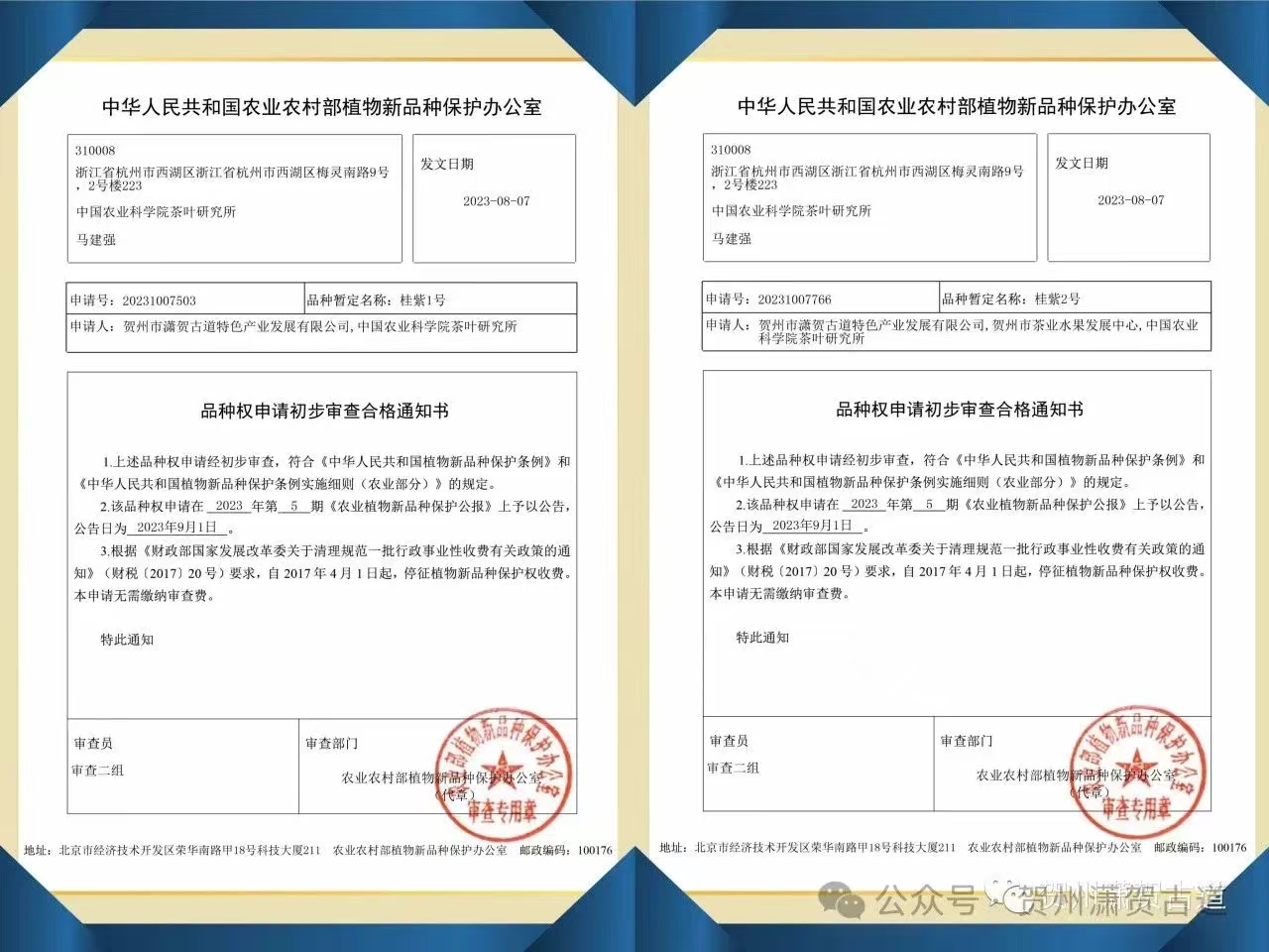 17323528372494.jpg 17323528372494.jpg