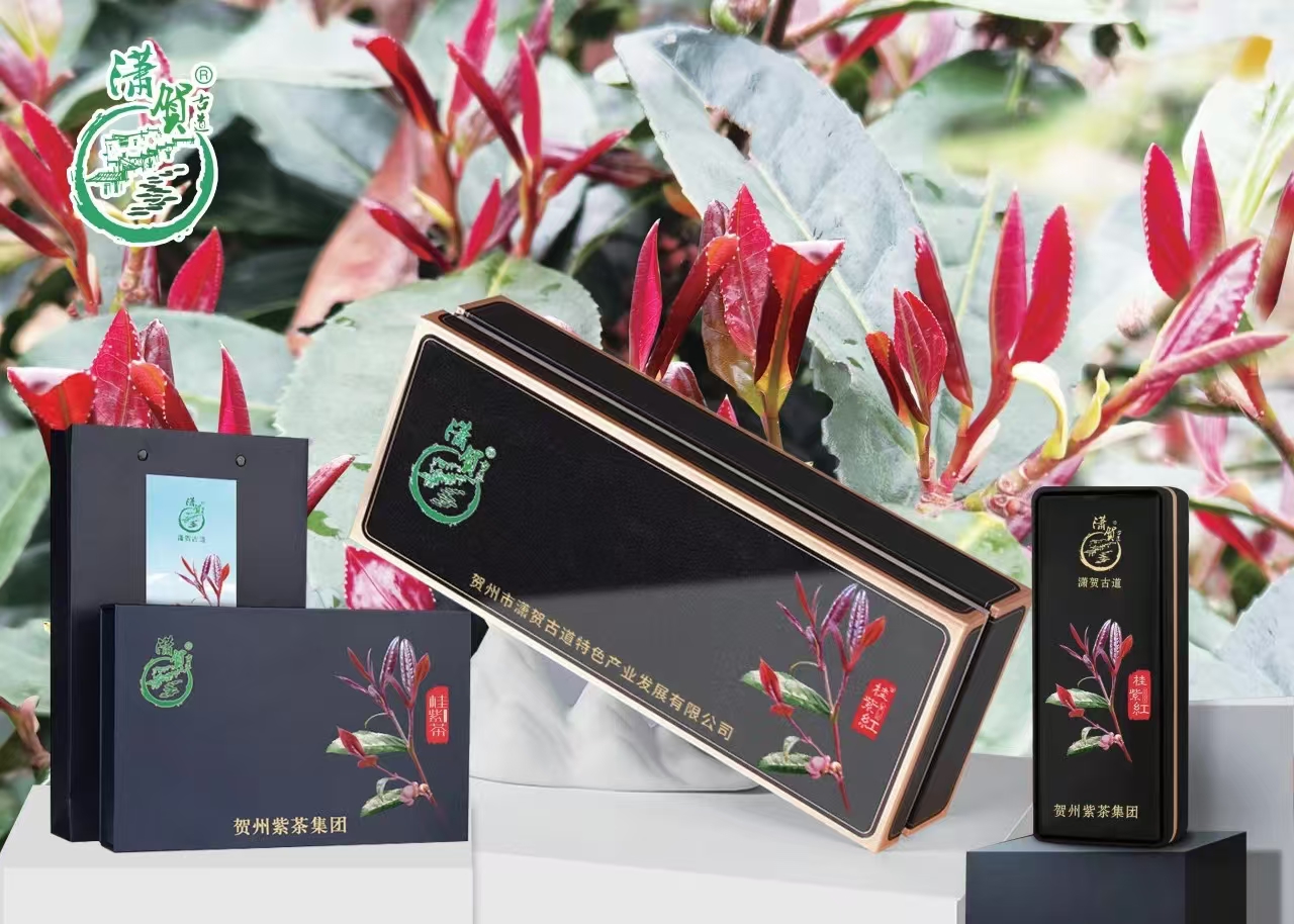 17323537321848.jpg 17323537321848.jpg