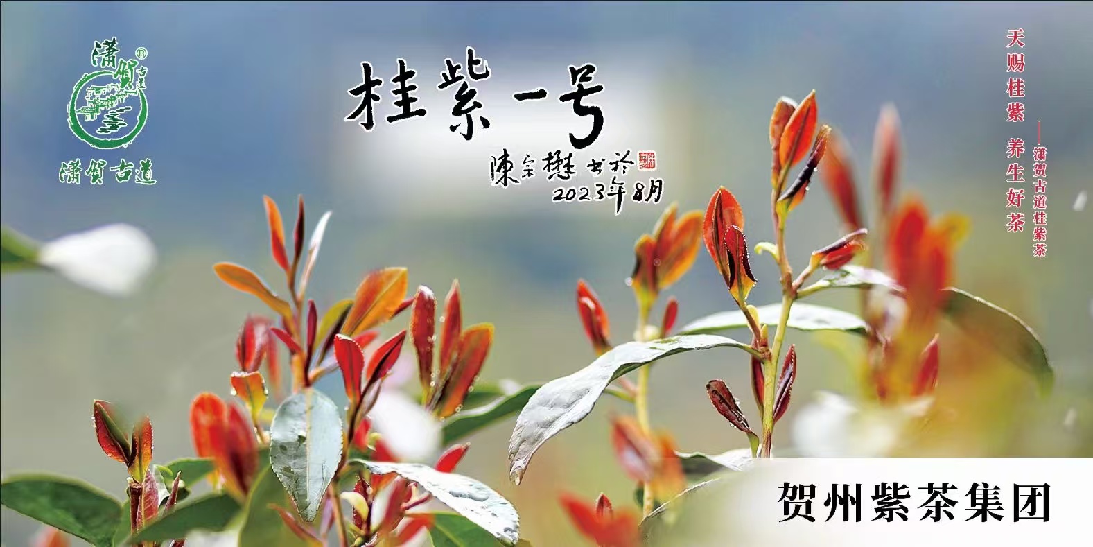 17358732038447.jpg 17358732038447.jpg