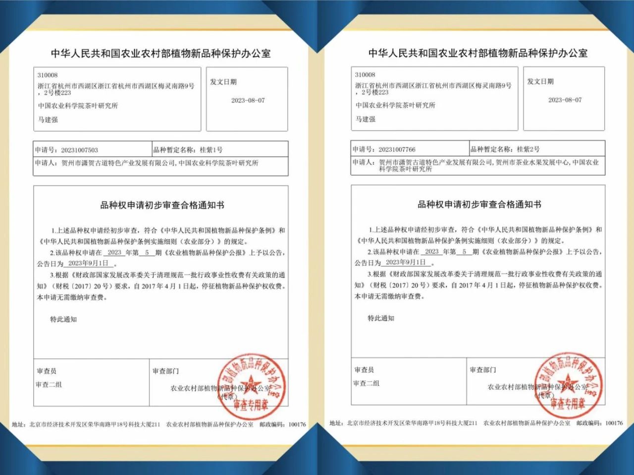 17510132507252.jpg 17510132507252.jpg