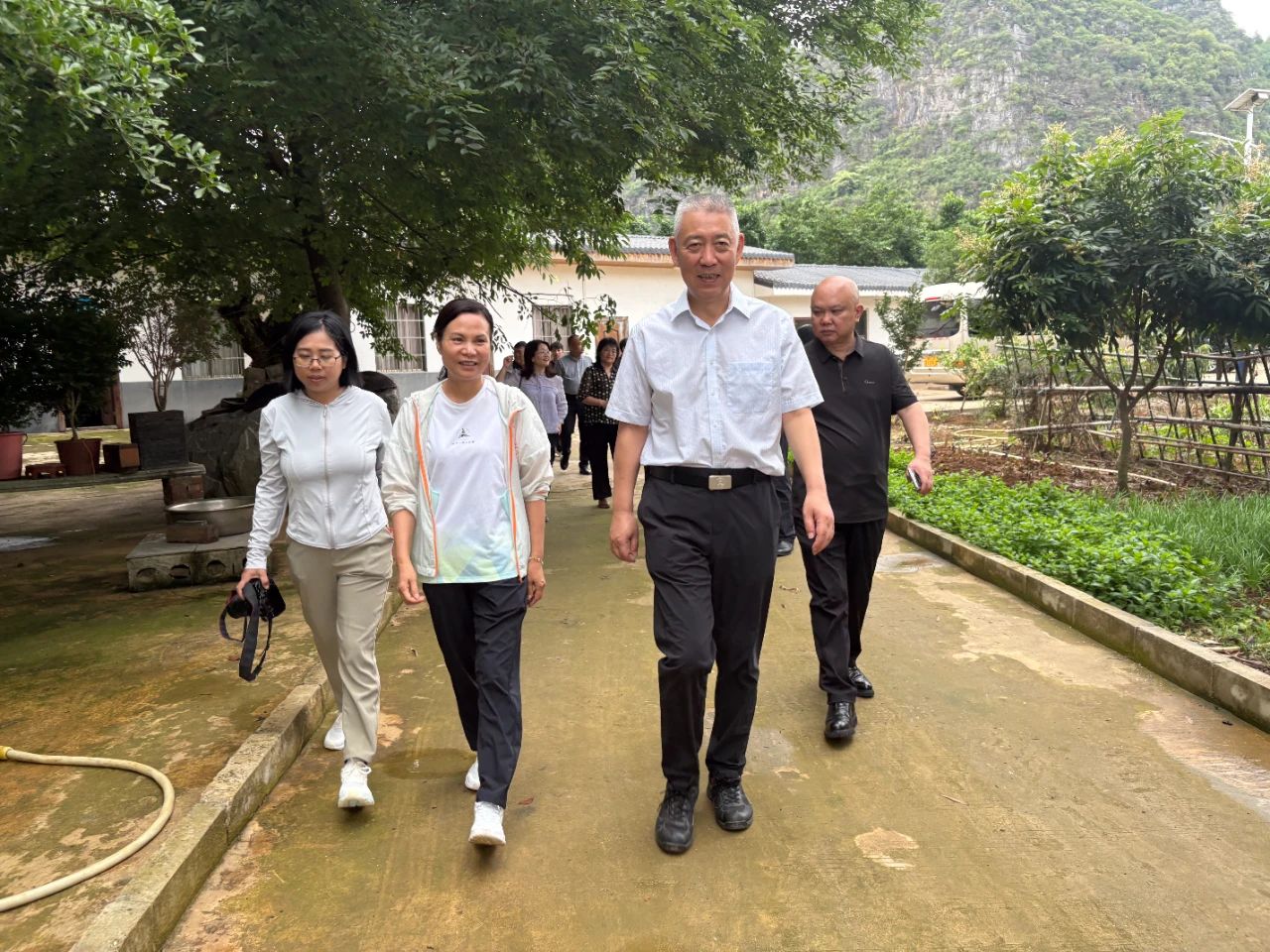 17510139733378.jpg 17510139733378.jpg