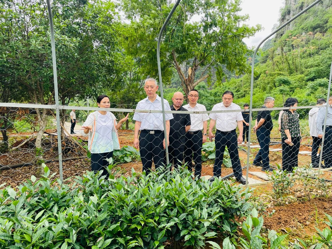 17510139749988.jpg 17510139749988.jpg