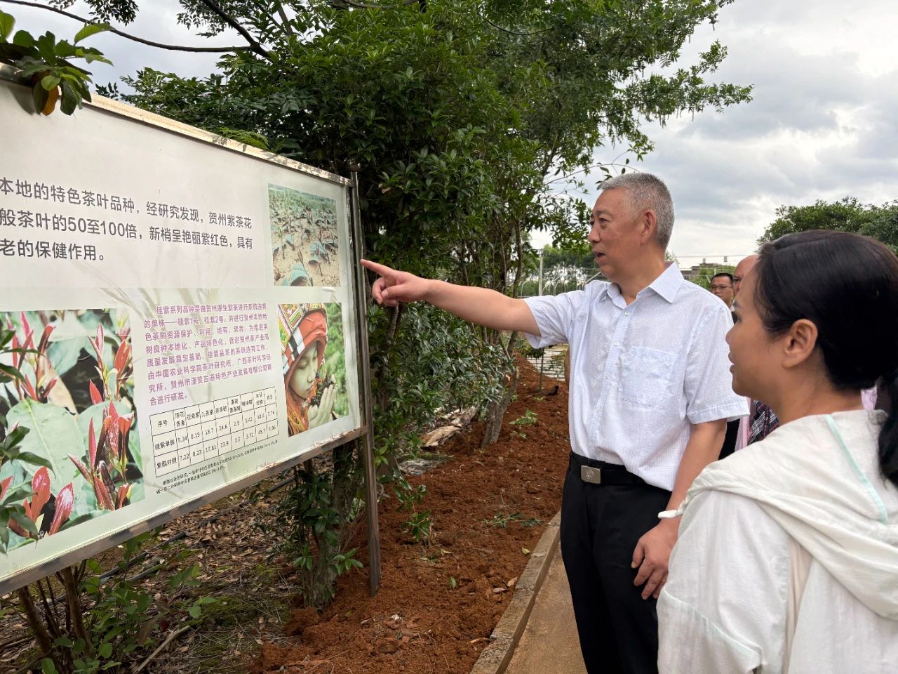 17510140693015.jpg 17510140693015.jpg