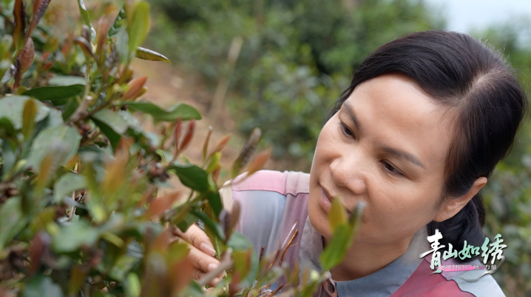 17518762753046.png 17518762753046.png