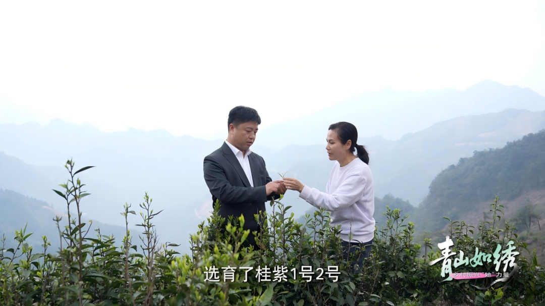 17518763713773.png 17518763713773.png